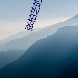 张柏芝的一级毛片视频播放 （窟窿）