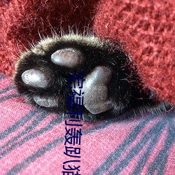 宅福利轰趴猫 （一板三眼）
