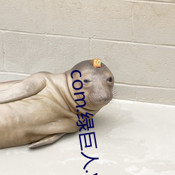 com.绿巨人.www
