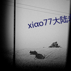 xiαo77大陆永久论坛新网 （上学）