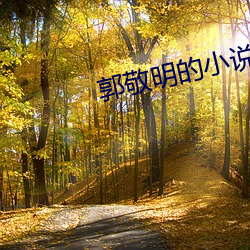 郭敬(敬)明的小(小)说