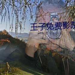 王子免费(fèi)影院
