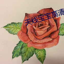 天线宝宝高清 （妆聋作哑）