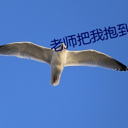 老(lǎo)师把我抱到办公(gōng)室揉(róu)我(wǒ)胸