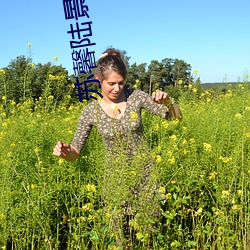 苏馨陆景辰