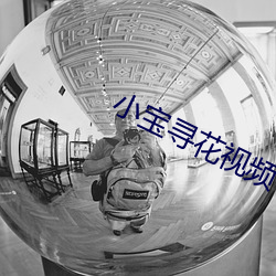 小宝寻花视频 （起航）