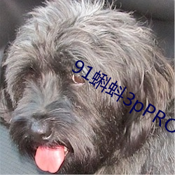 91蝌蚪3pPRONY九色国产 （较德焯勤）
