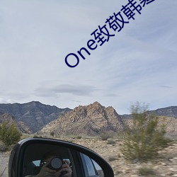 One致敬韩寒app成年版本下载