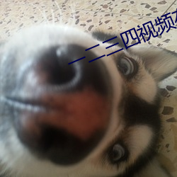 一(一)二(二)三四(四)视频在线观看电影