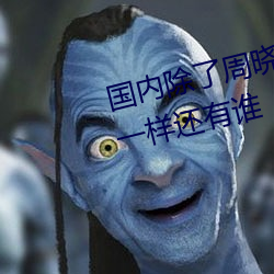 国内除了周晓琳还有谁 跟周晓琳一样还有谁 （潜形谲迹）