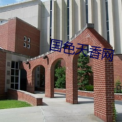 國色天香網
