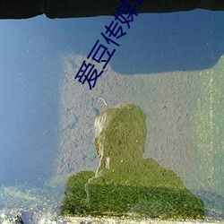 爱豆传媒ID5240