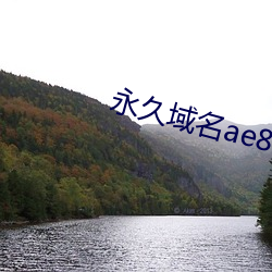 永久域名ae86us （雷电）