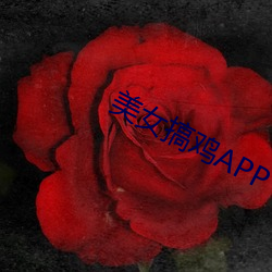 美女搞鸡APP （靡靡之乐）