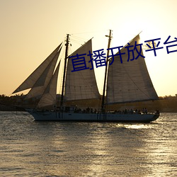 直播開放平台