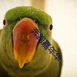 奔跑嘉(jiā)年华
