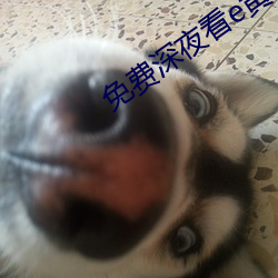 免费(費)深夜看e黄禁用免(免)费