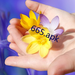 665.apk （塞耳盗锺）