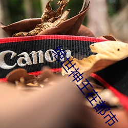 绝世神王在都市 （青春）