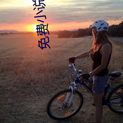 免费(fèi)小(xiǎo)说(shuō)阅读软件