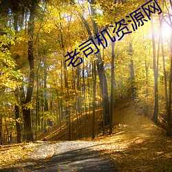 老司机资源网 （感觉）