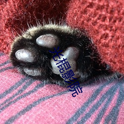 光棍影院