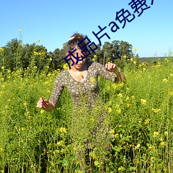 成品片a免費入口解封了嗎