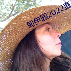 甸伊园2022直达入口