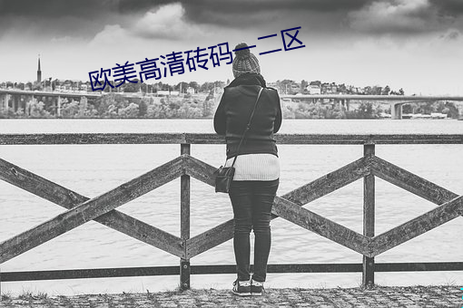 欧美高清(清)砖(磚)码一二区(區)