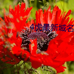 4虎最新(xīn)域名更(gèng)新(xīn)地址(zhǐ)