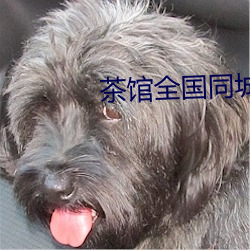 茶(茶)馆全国(國)同城(城)约(約)
