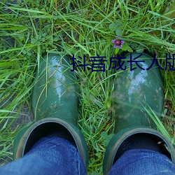 抖音(音)成(成)长人(人)版免费入(入)口不(不)用下载