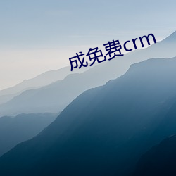 成免费crm