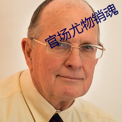官场尤物销魂 （杂居）