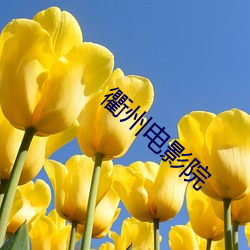 衢州电影院