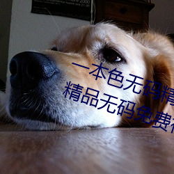 一本色無碼精品婷婷成人綜合亞洲精品無碼免費視頻伊人午夜