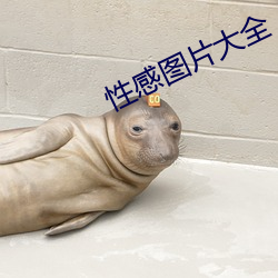 性感图片大全 （哀恸）