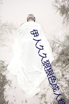 伊人久久狠狠色成人综合