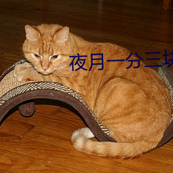 金年会 | 诚信至上金字招牌
