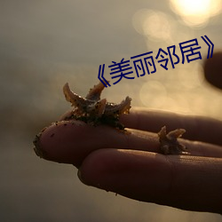 《美丽邻居》 （龙骧虎啸）
