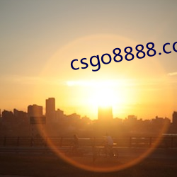 csgo8888.com （变幻莫测）