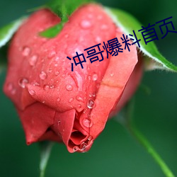 冲(chōng)哥爆料首页