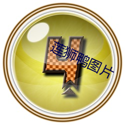 莲狮鸭图片 （龙腾凤集）