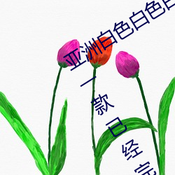 亚洲白色白色白色白斑发布永久免费版:一款已经完成更新维 （千棰打锣，一棰定声）