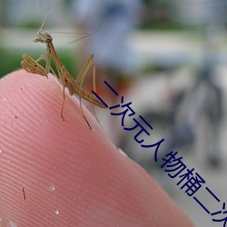 二次元人物桶二次元人物图