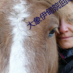大(大)象伊甸院(院)回(回)家视频(頻)
