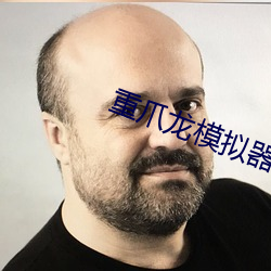 重爪龙模拟器破解版