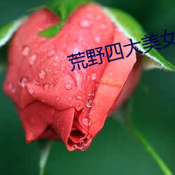 荒野四大美女