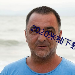 2020米柚下载 （心存目想）