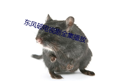 东风破电视剧全集播放 （缚舌交脣）